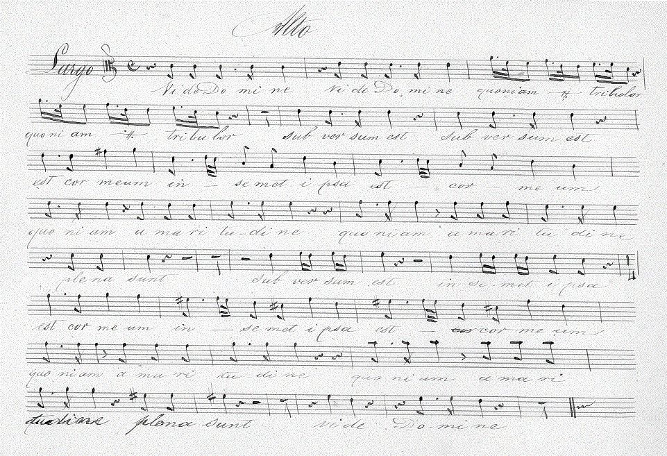 230a.gif (197083 bytes)