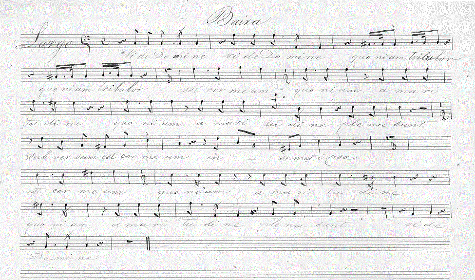 230b.gif (174110 bytes)