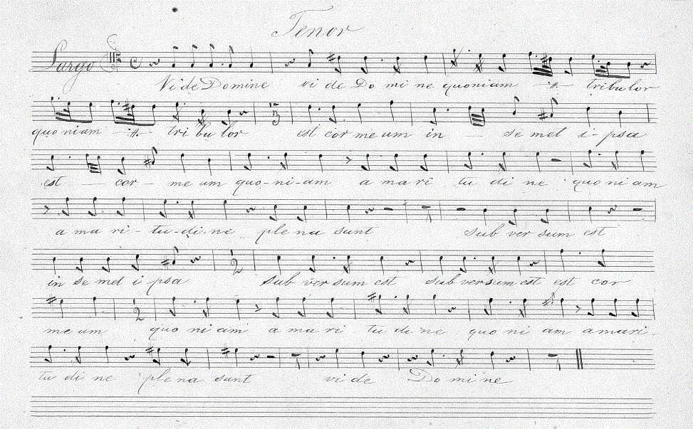 230t.gif (186727 bytes)