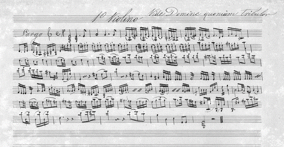 230v11.gif (193255 bytes)