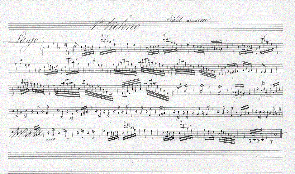 231v11.gif (173750 bytes)