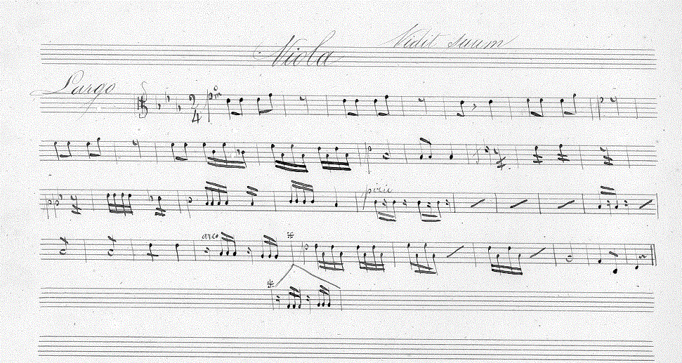 231va.gif (156301 bytes)