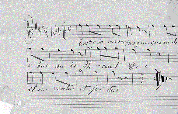 233a11.gif (77576 bytes)