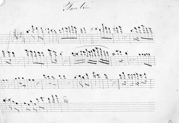 233flt1.gif (106978 bytes)