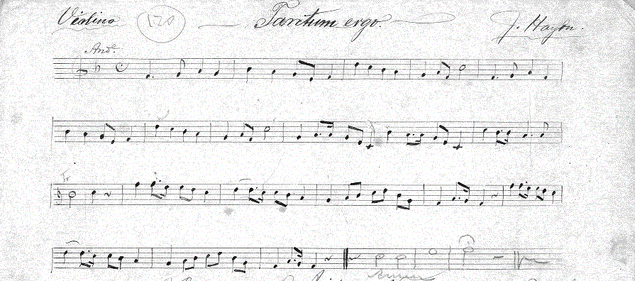 256v11.gif (127057 bytes)