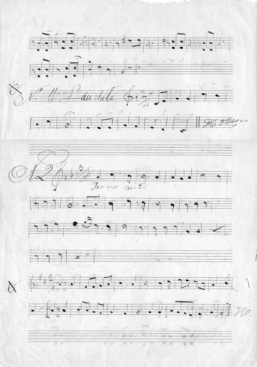 293v13.gif (368940 bytes)