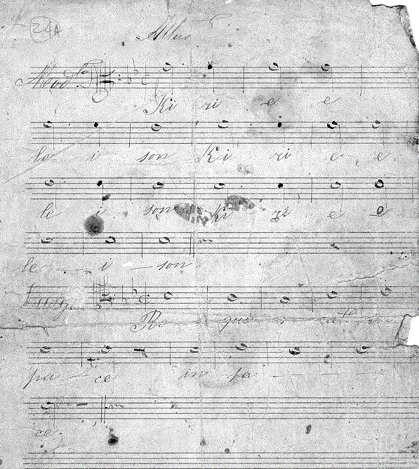 295a3.gif (142178 bytes)