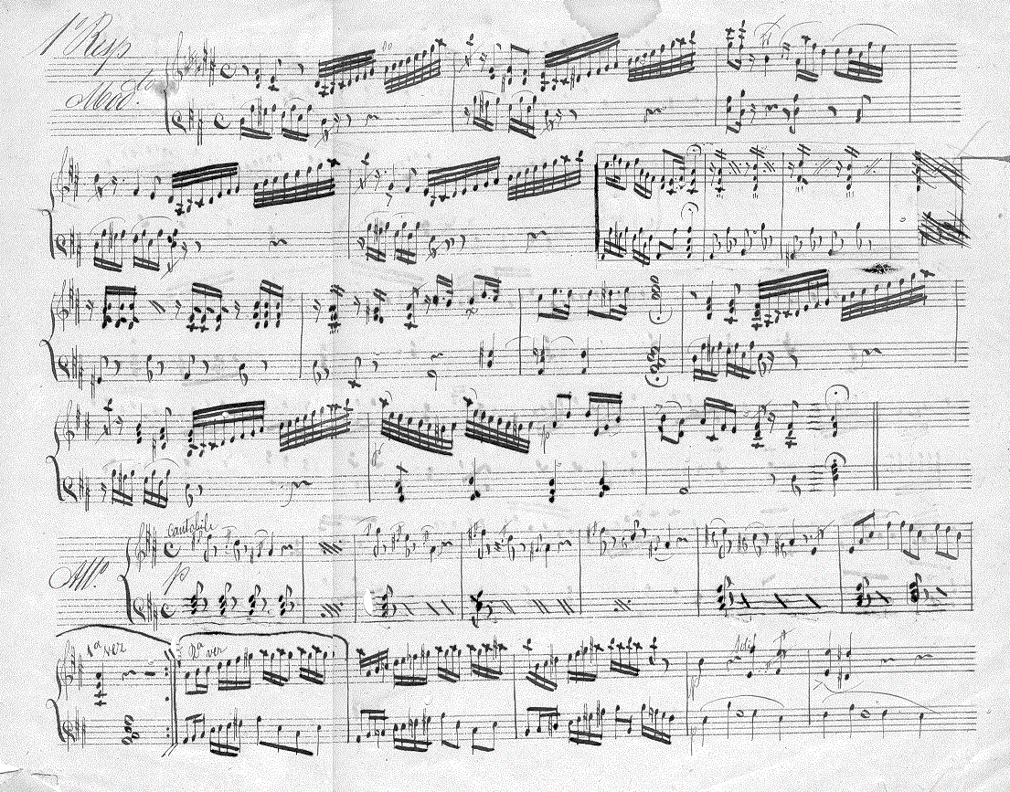 304pn1.gif (373504 bytes)