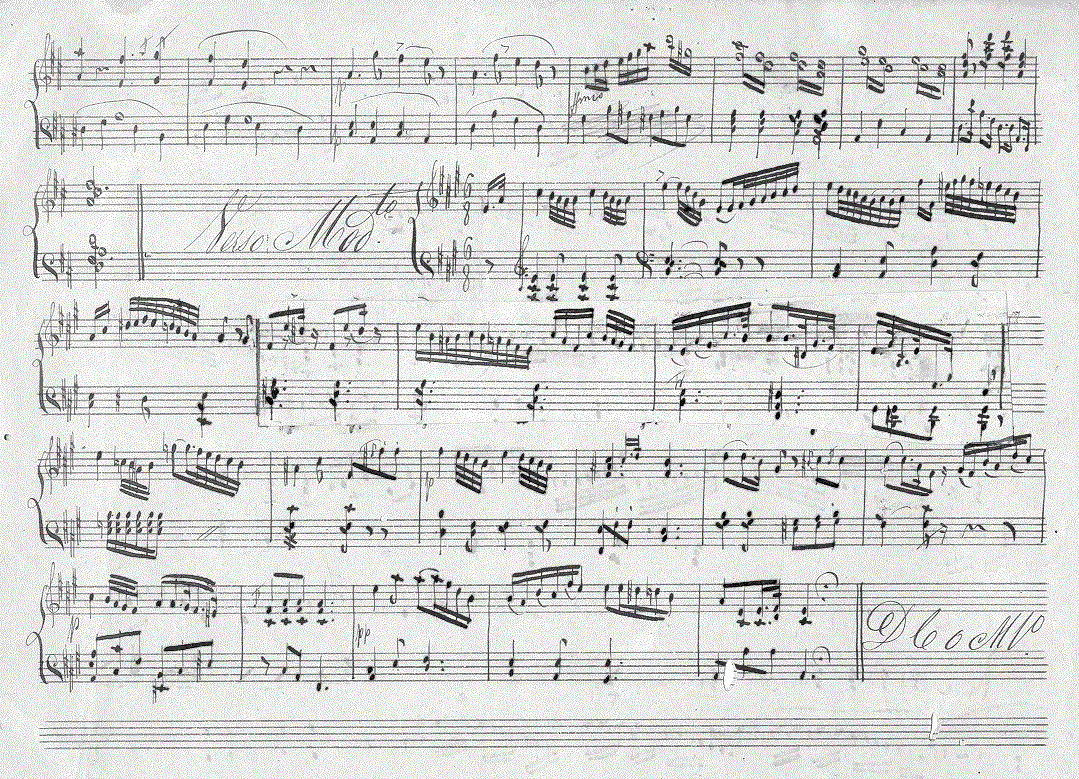 304pn2.gif (324350 bytes)