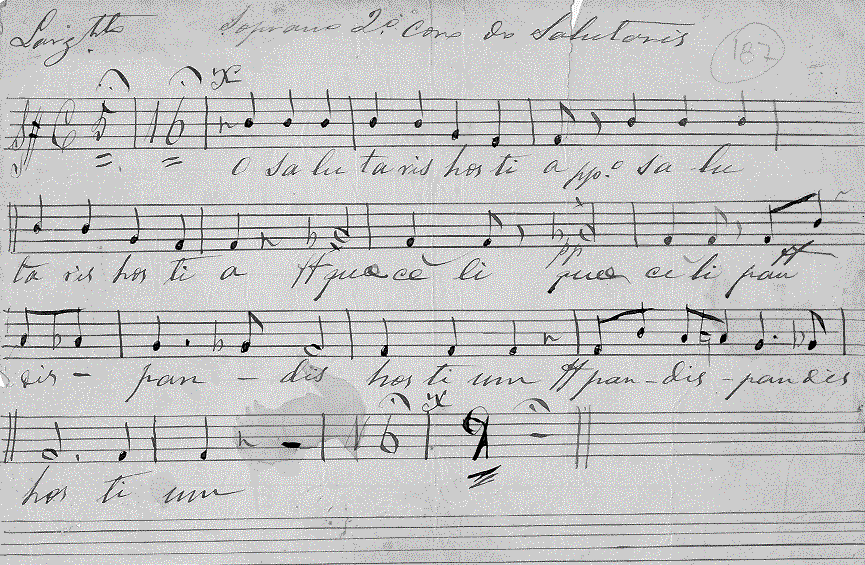 307s2.gif (137214 bytes)