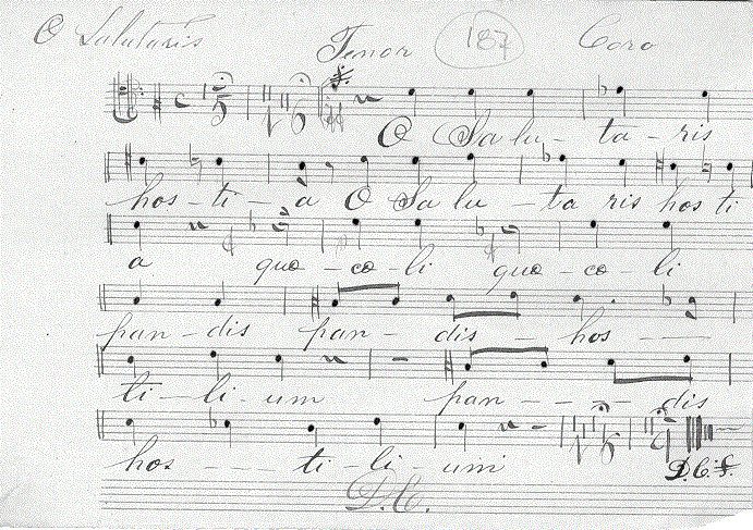 307t.gif (119889 bytes)