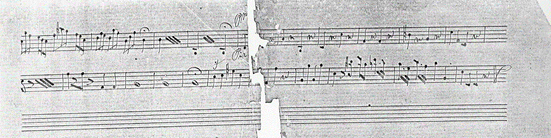 313vc2.gif (114355 bytes)