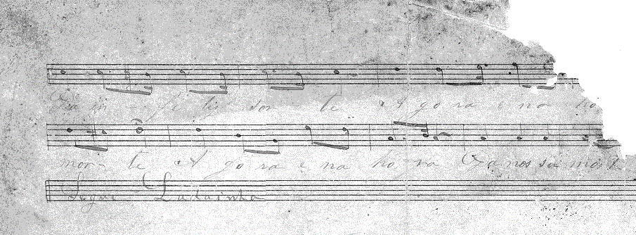 316s2.gif (369341 bytes)