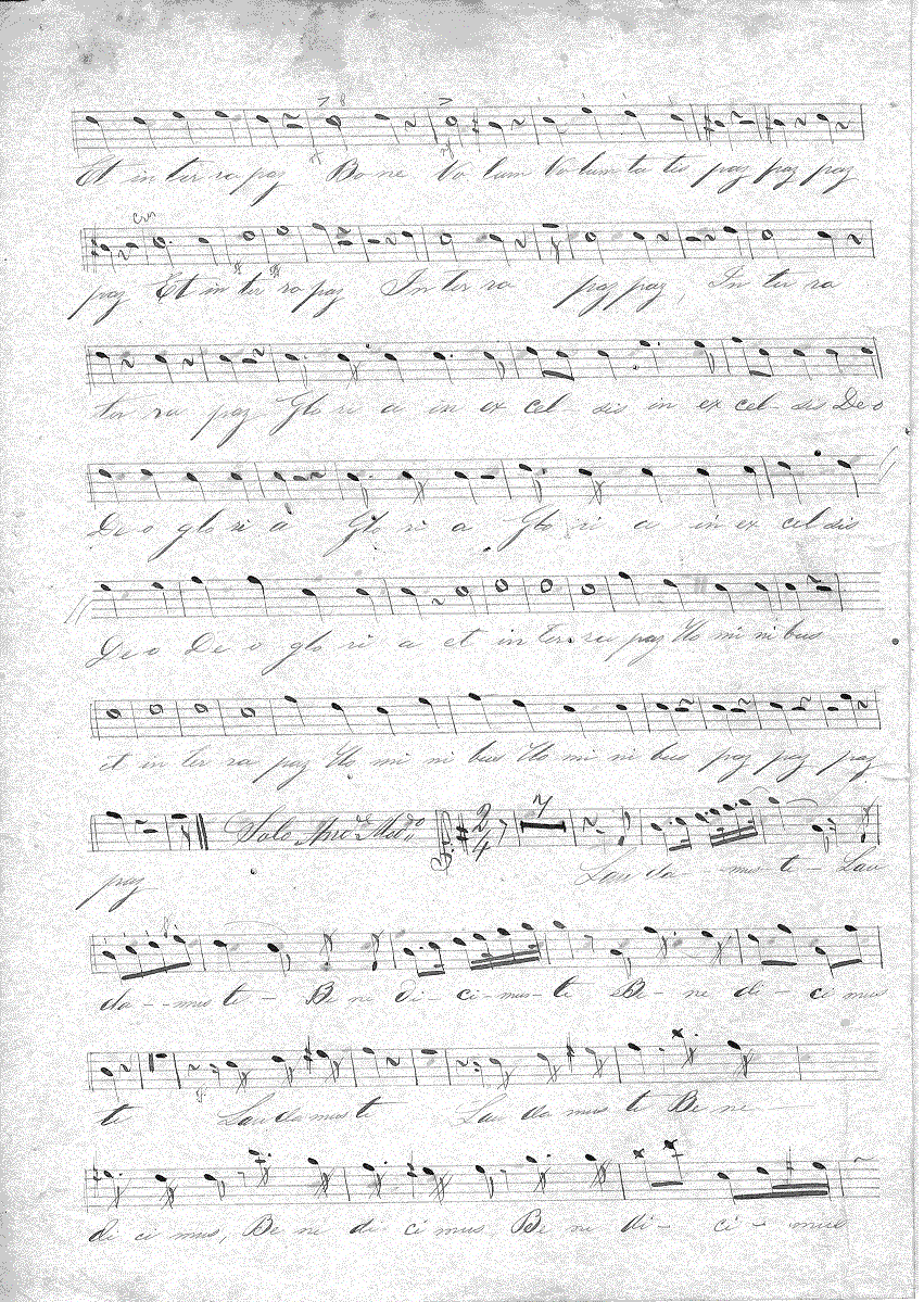 317s2.gif (375872 bytes)