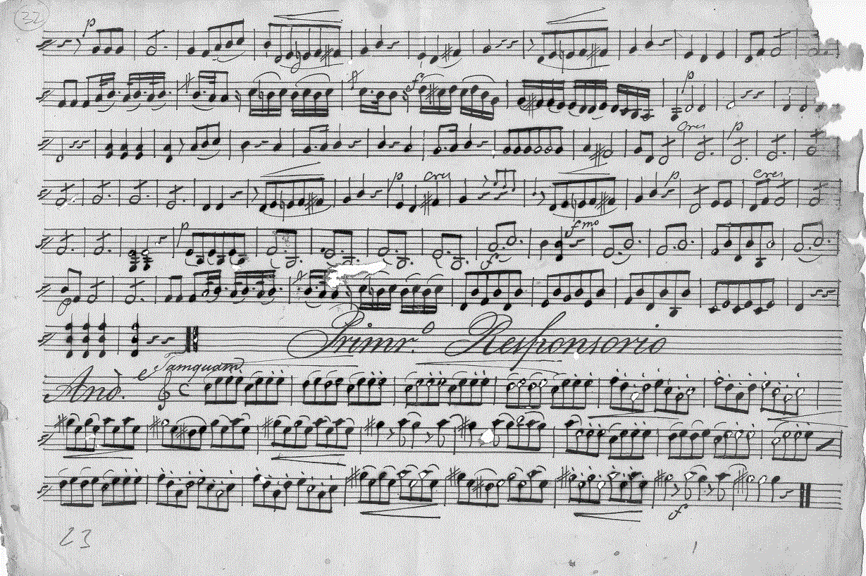 321v1.gif (384006 bytes)