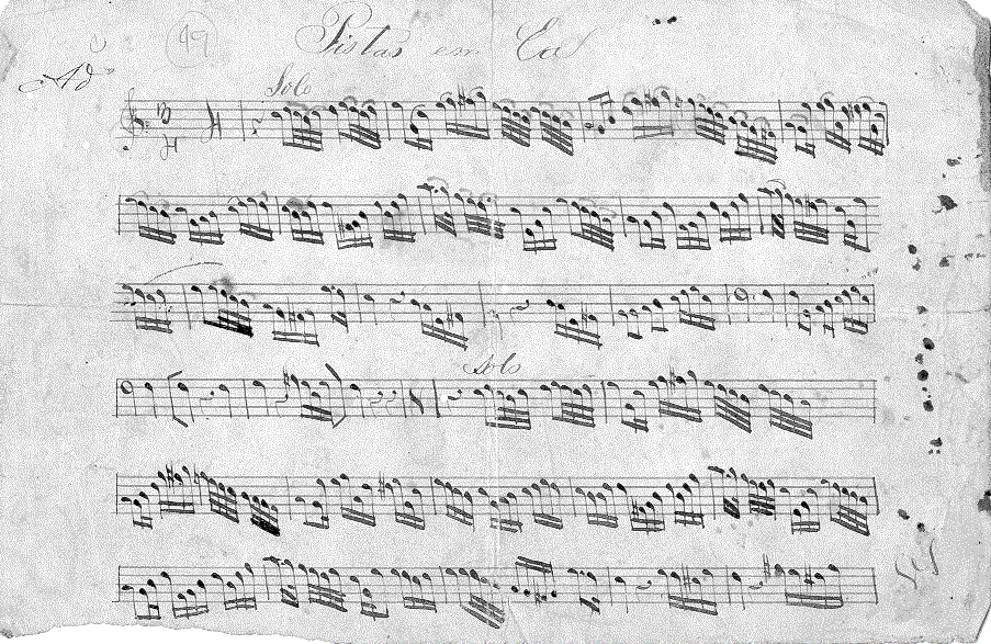 334tp11.gif (199929 bytes)