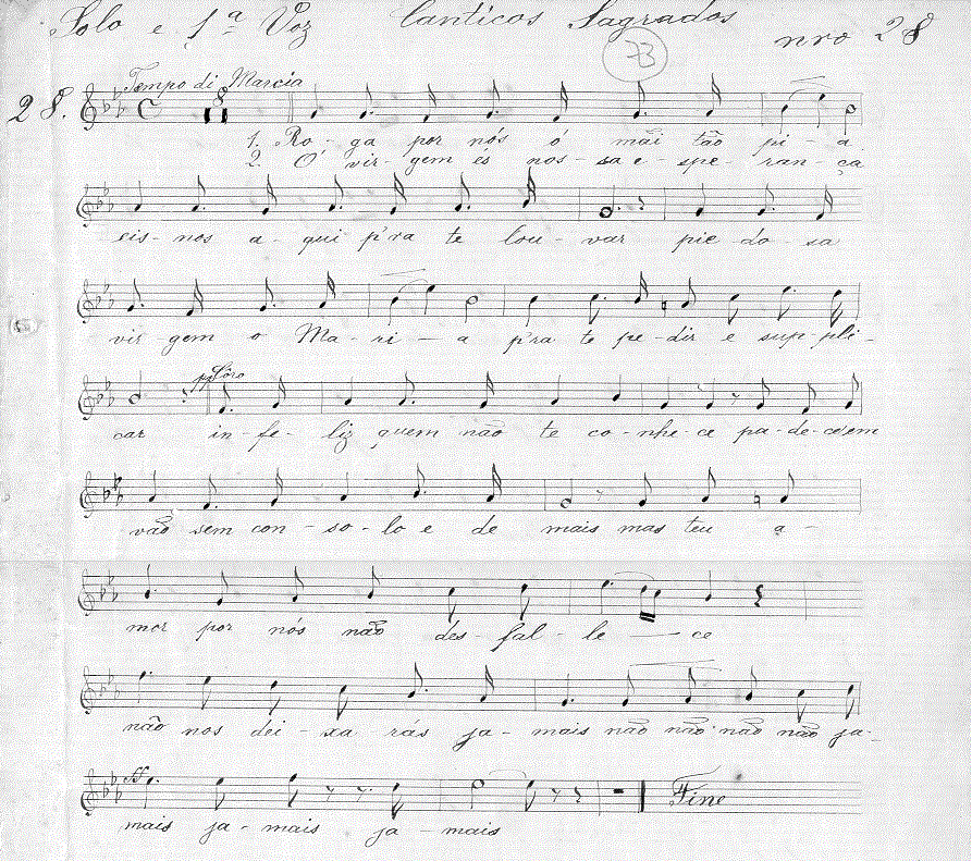 354ssolo.gif (243233 bytes)