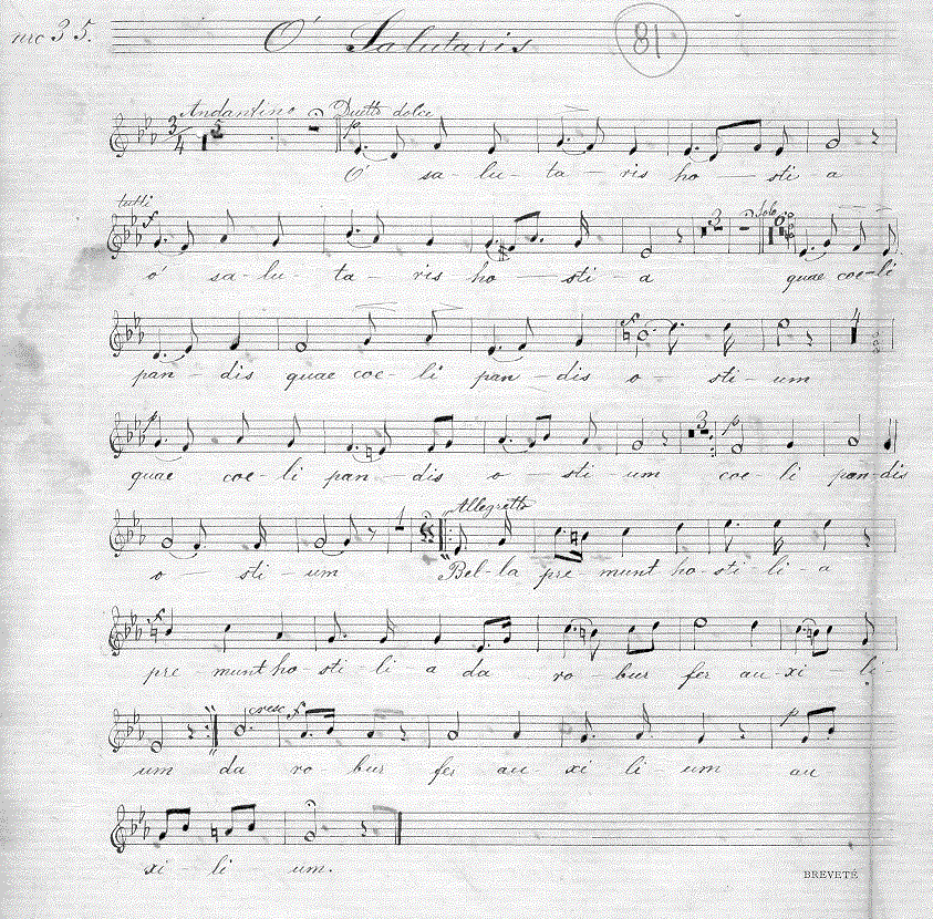 363a1.gif (255008 bytes)