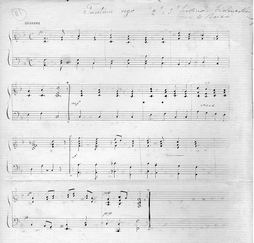 378v21.gif (243872 bytes)